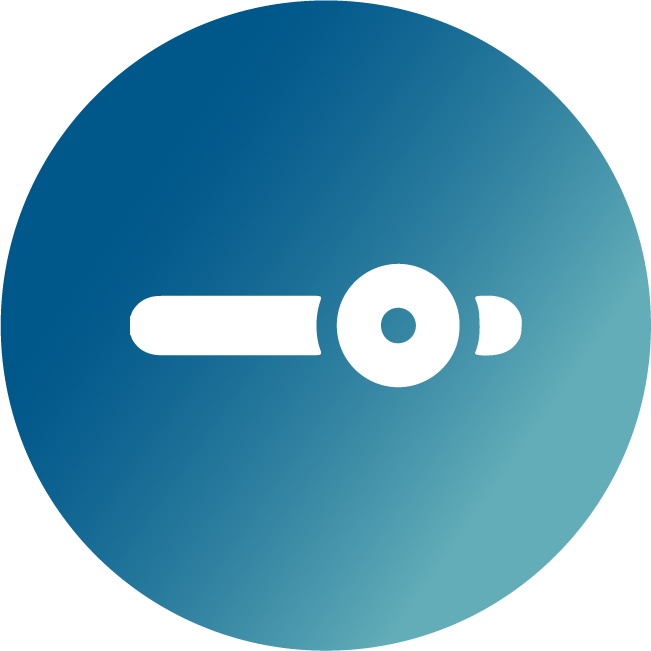 Icon 3