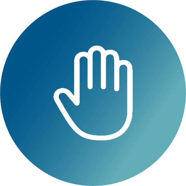 Icon 2